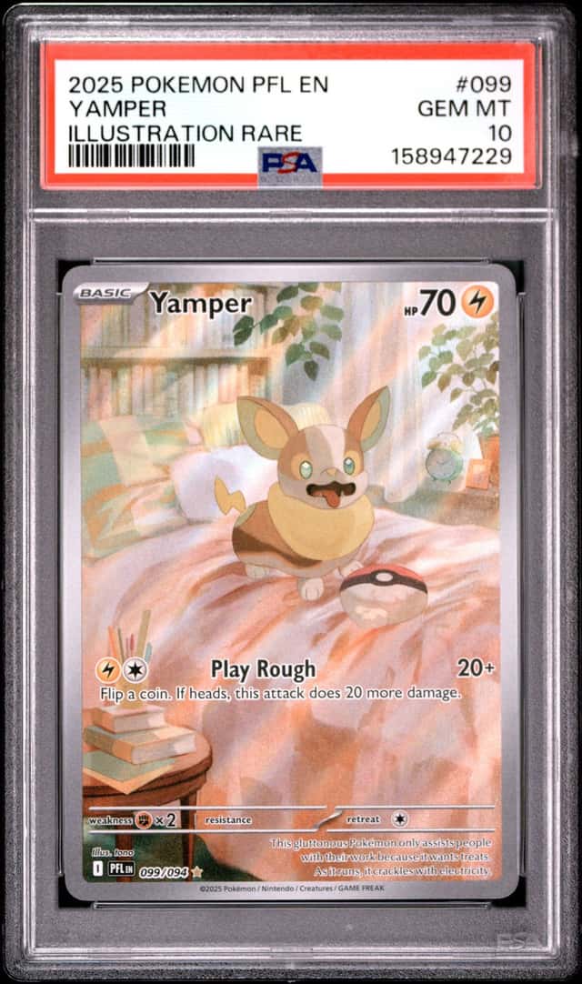 Yamper