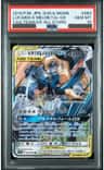Lucario & Melmetal Gx