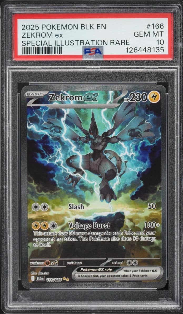 Zekrom Ex