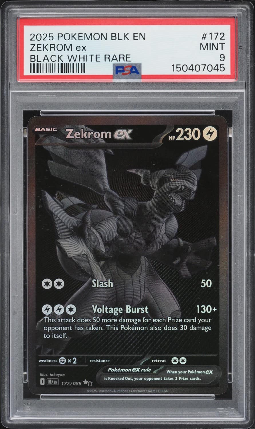 Zekrom Ex