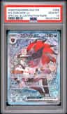 N'S Zoroark Ex