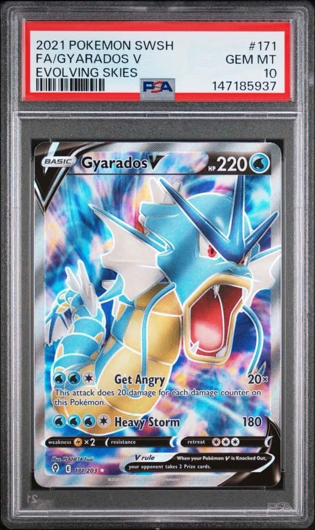 Gyarados V