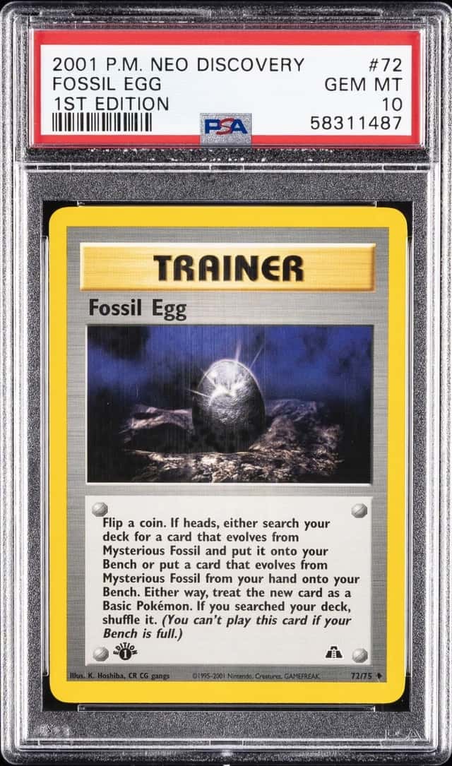 Fossil Egg