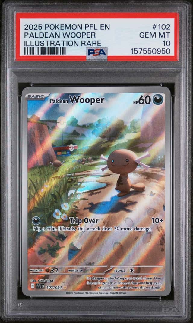 Paldean Wooper