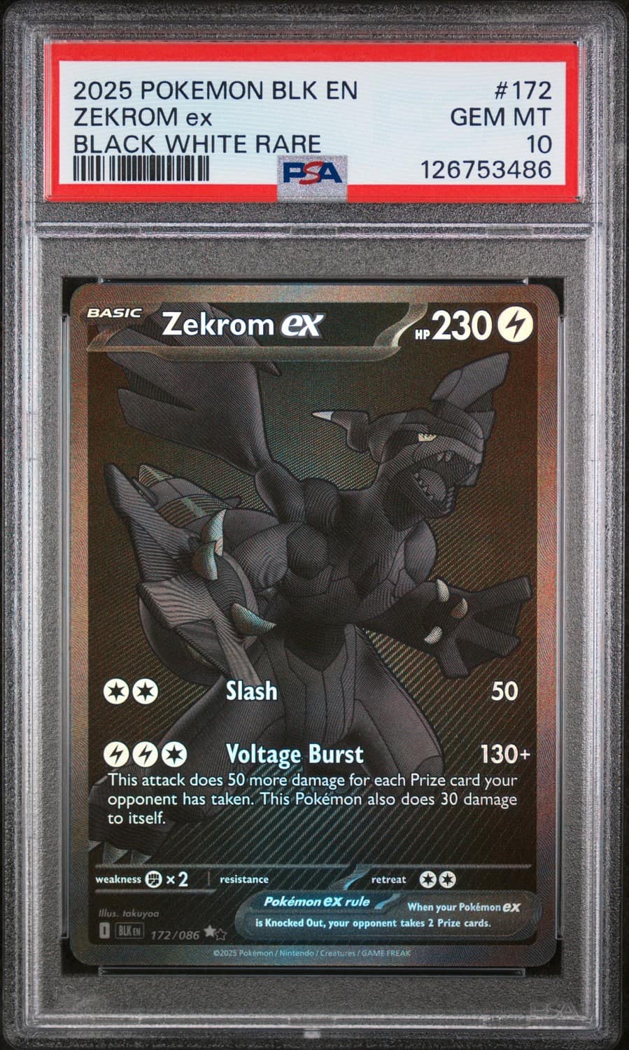 Zekrom Ex