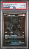 Zekrom Ex