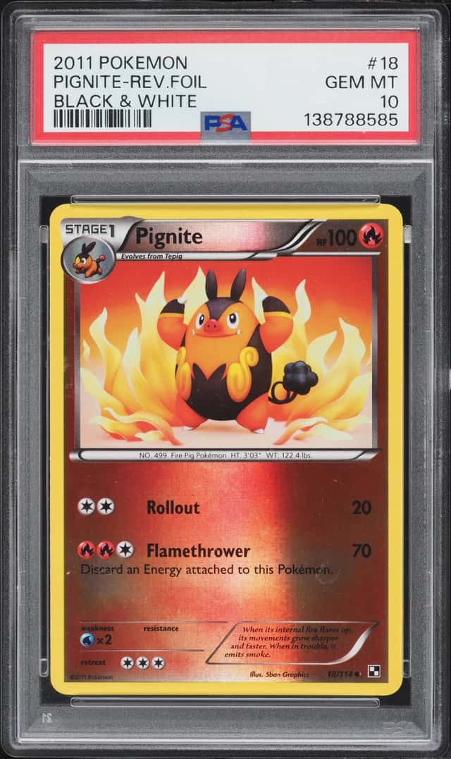 PIGNITE