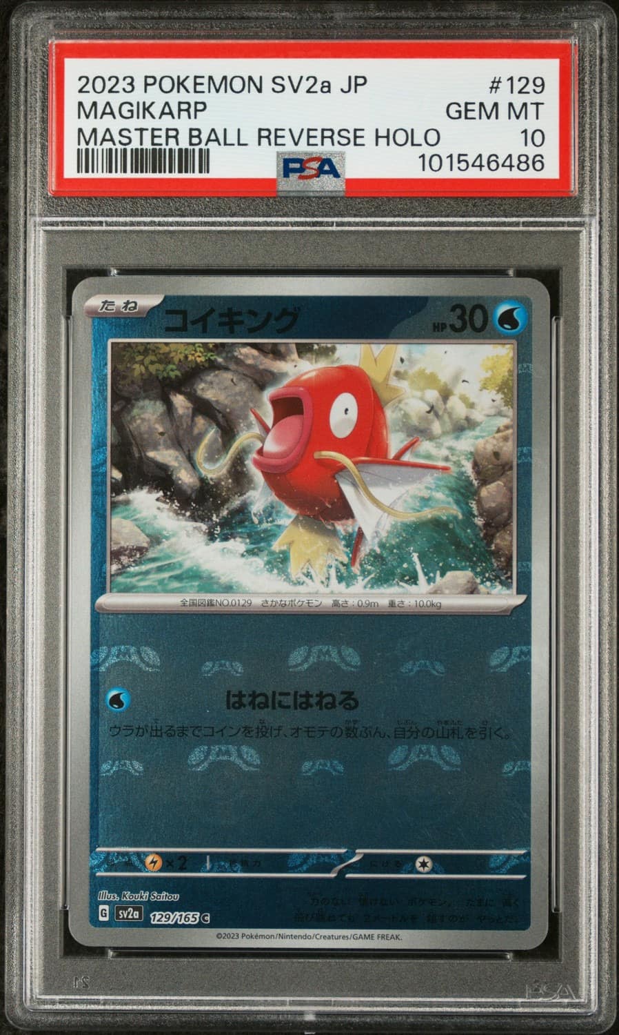 Magikarp