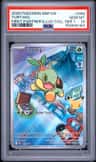 Turtwig