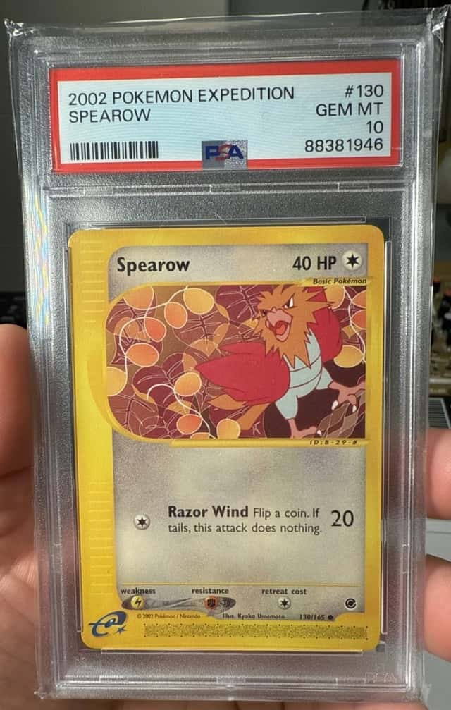 Spearow