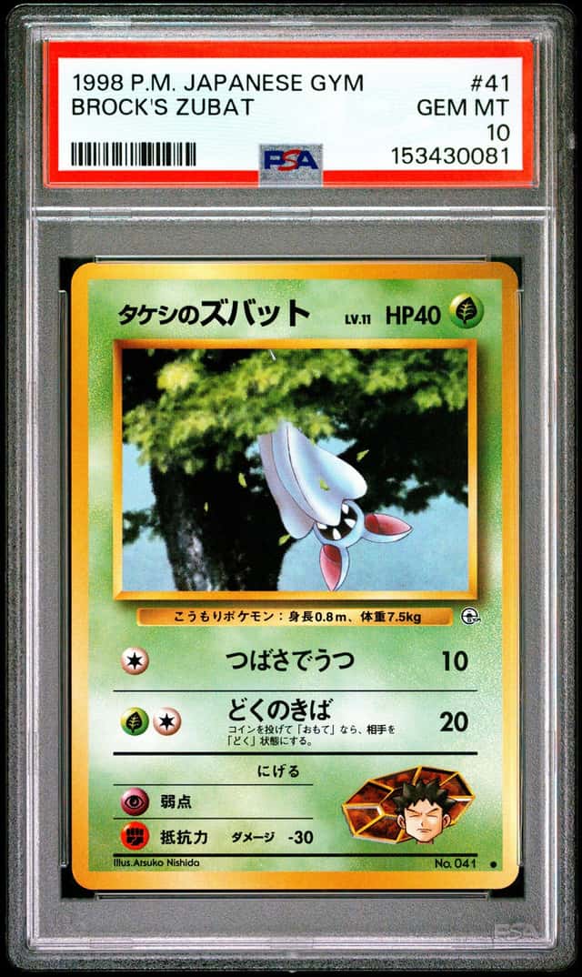Brock's Zubat