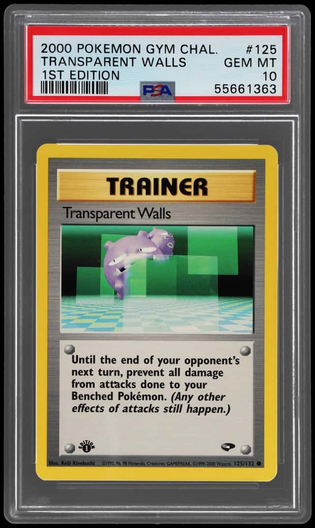 Transparent Walls