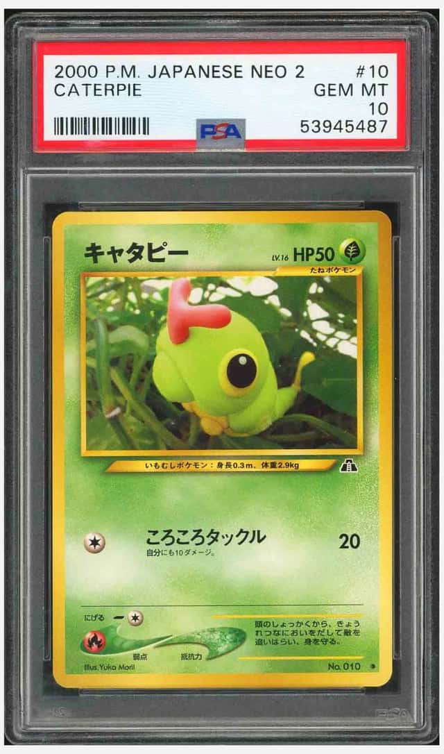 Caterpie
