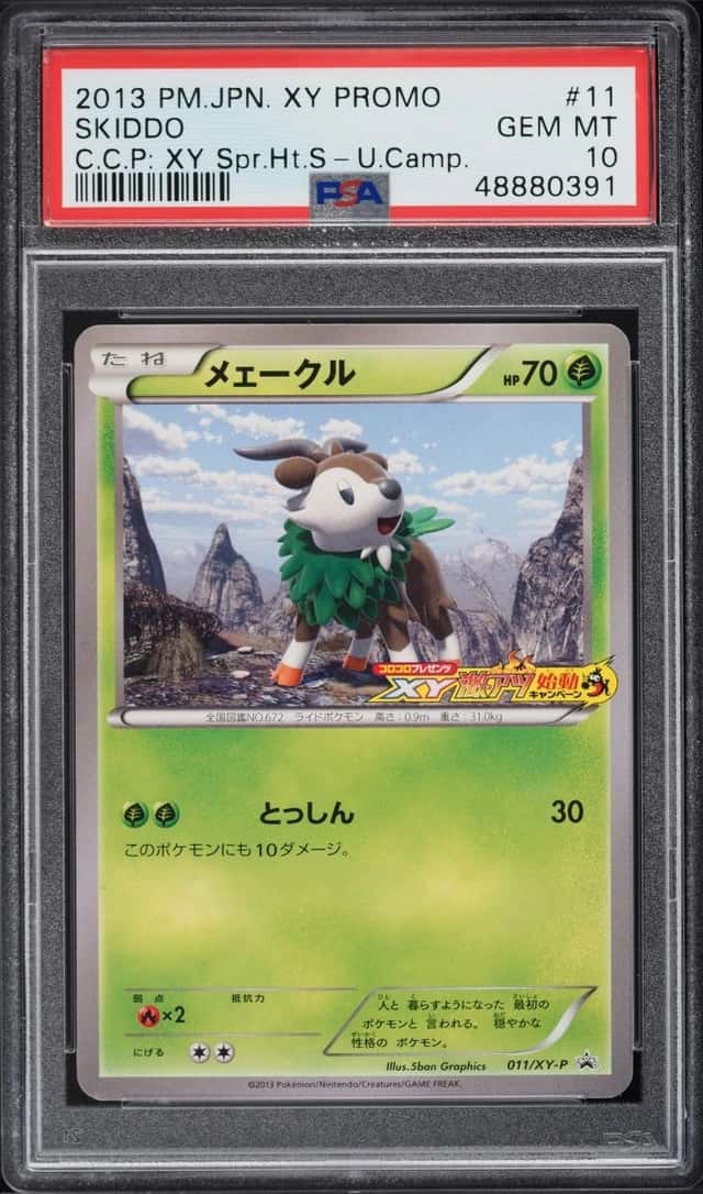 Skiddo