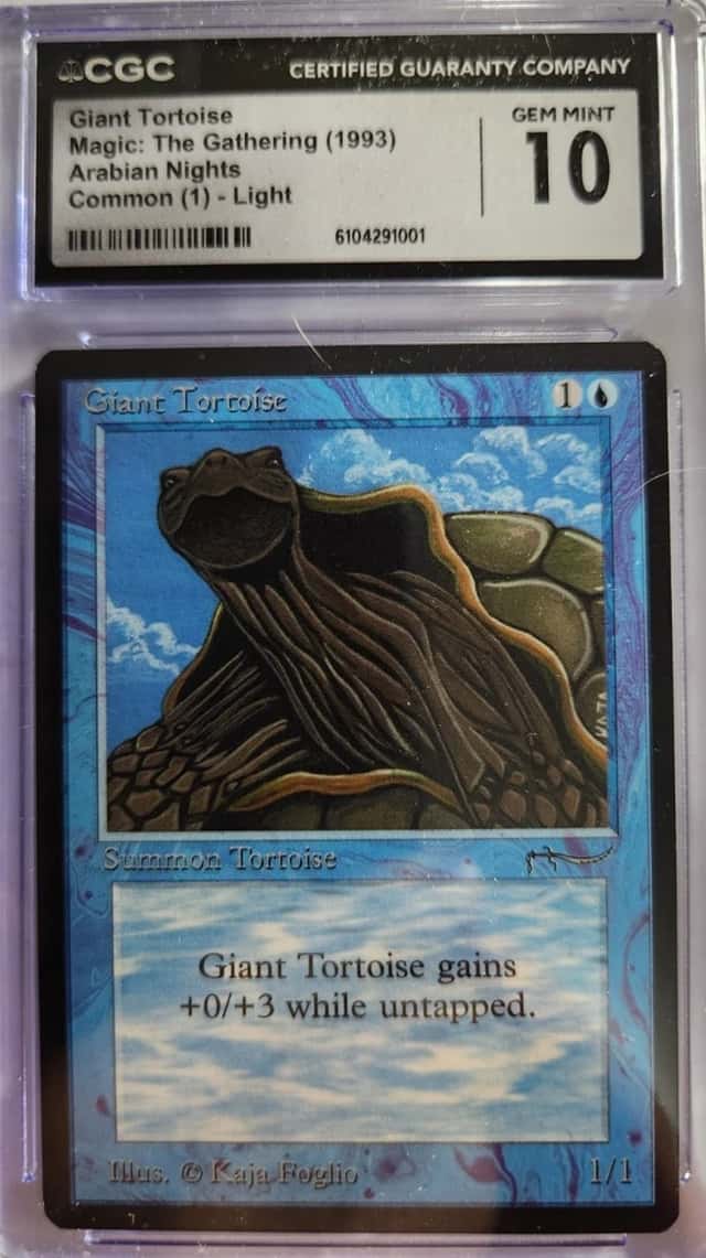 Giant Tortoise