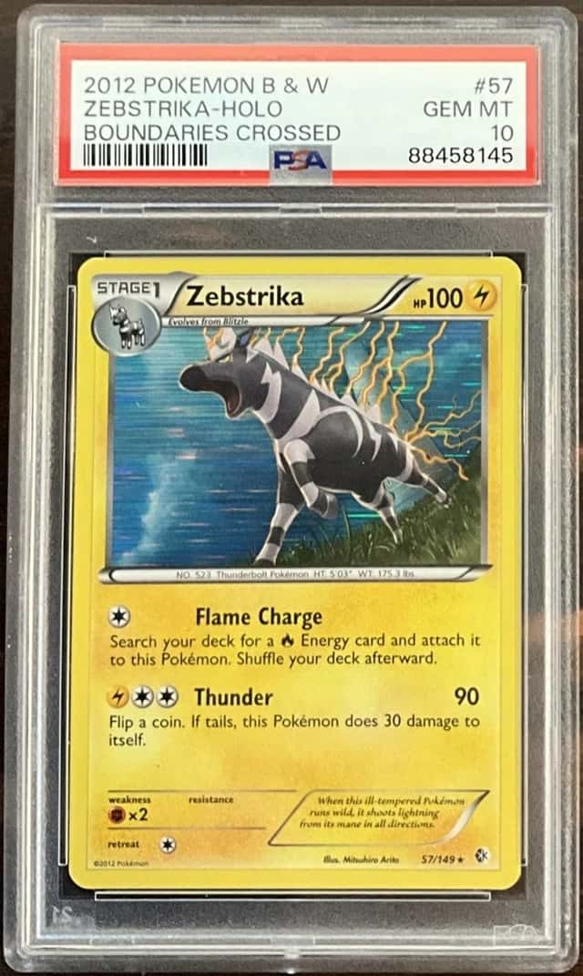 Zebstrika