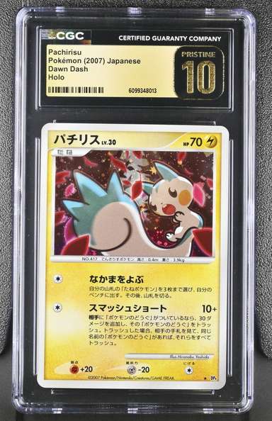 Pachirisu