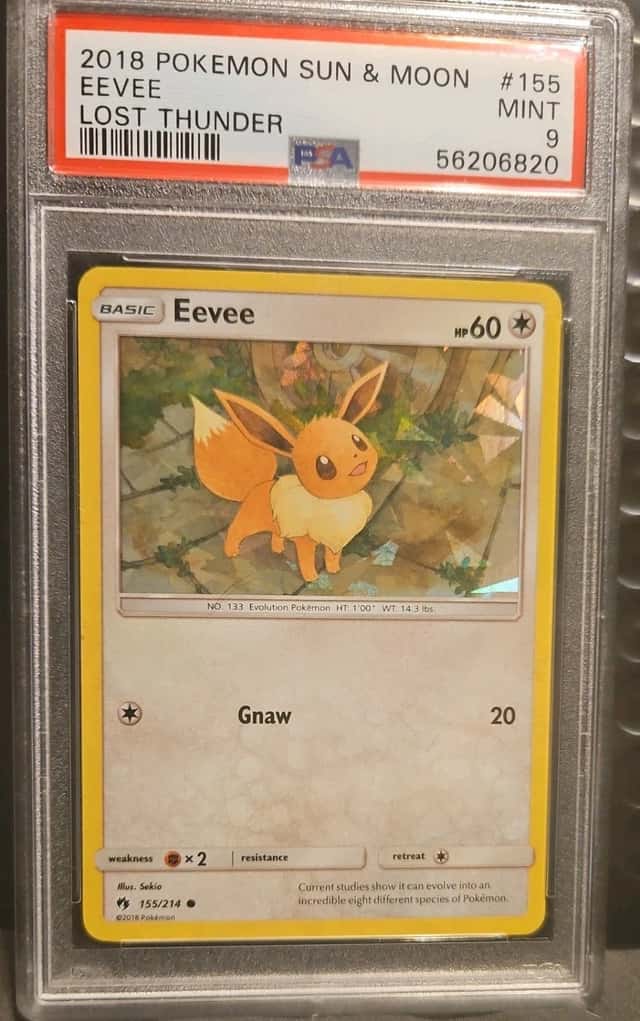 Eevee