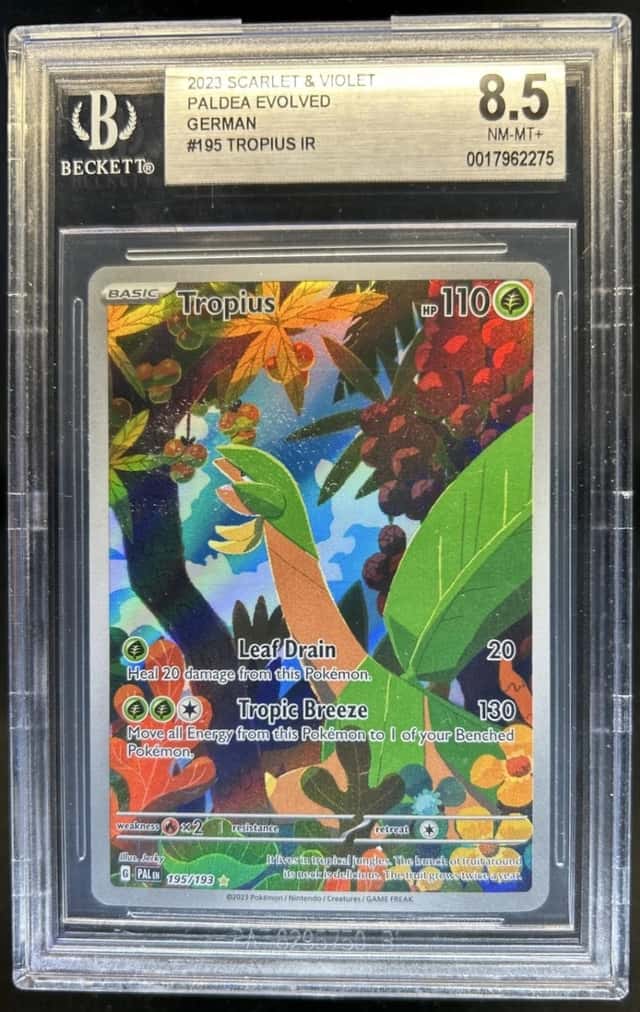 Tropius IR