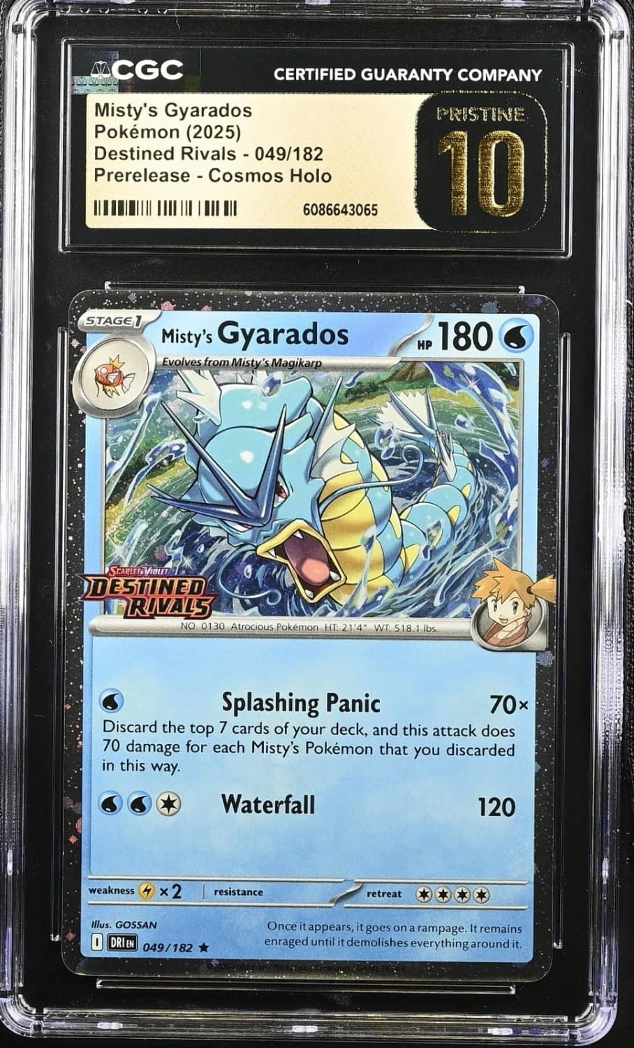 Misty'S Gyarados