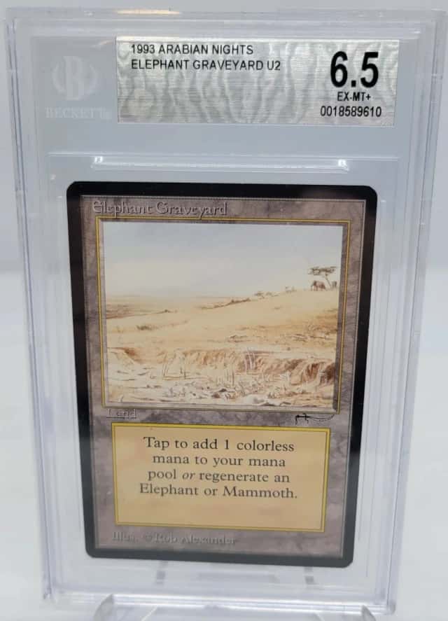 Elephant Graveyard U2