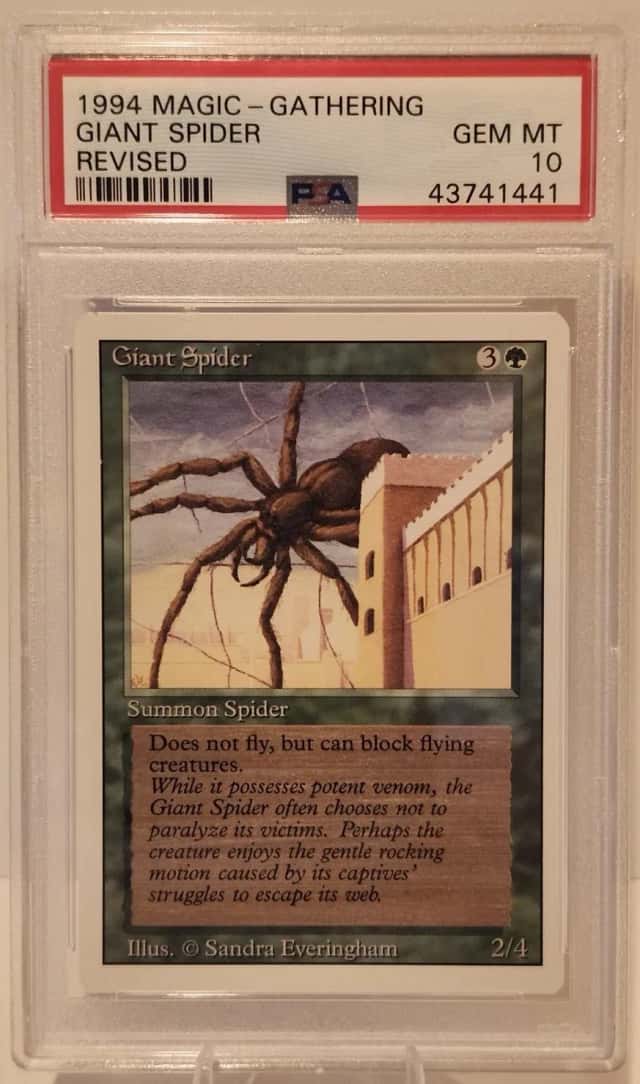 Giant Spider