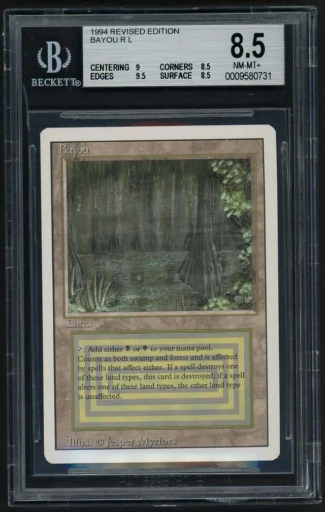 Bayou