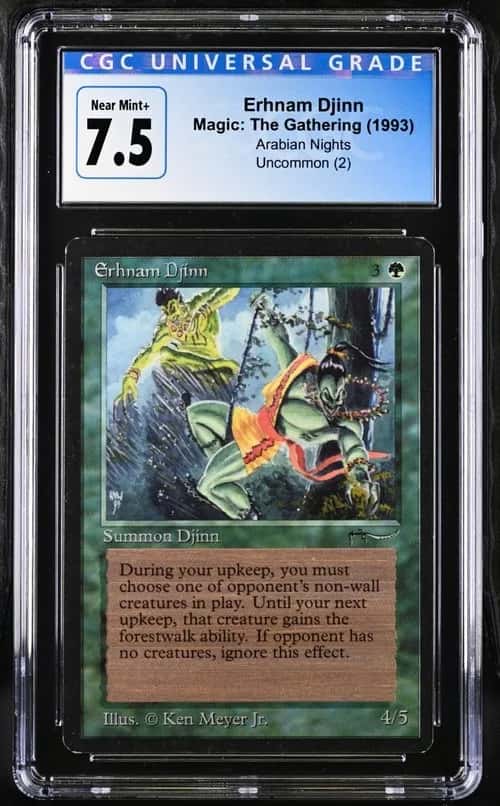 Ernham Djinn