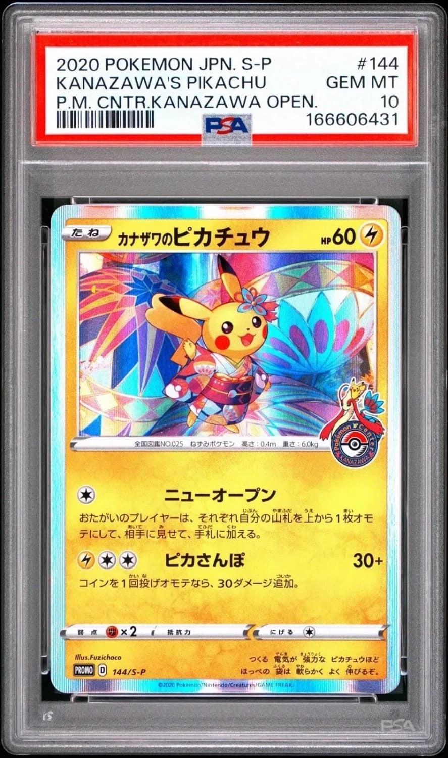 Kanazawa'S Pikachu