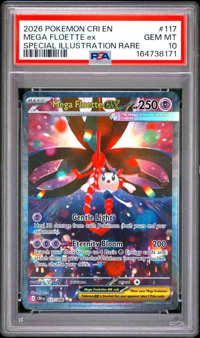 MEGA FLOETTE ex