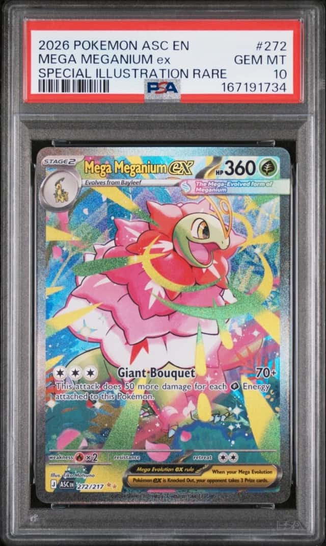 MEGA MEGANIUM ex
