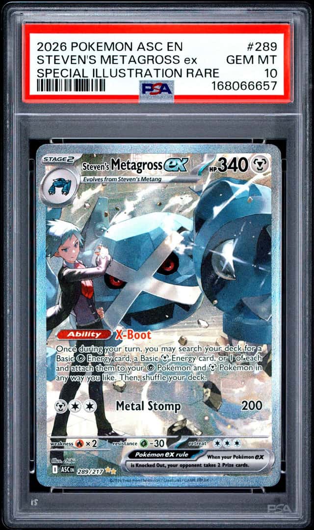 STEVEN'S METAGROSS ex