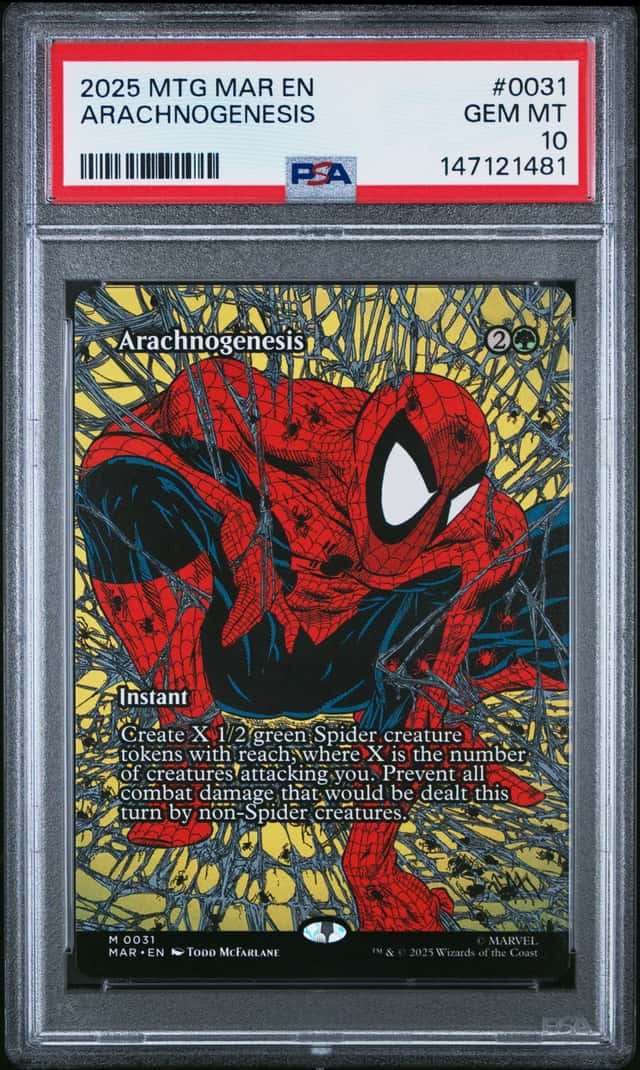 Arachnogenesis