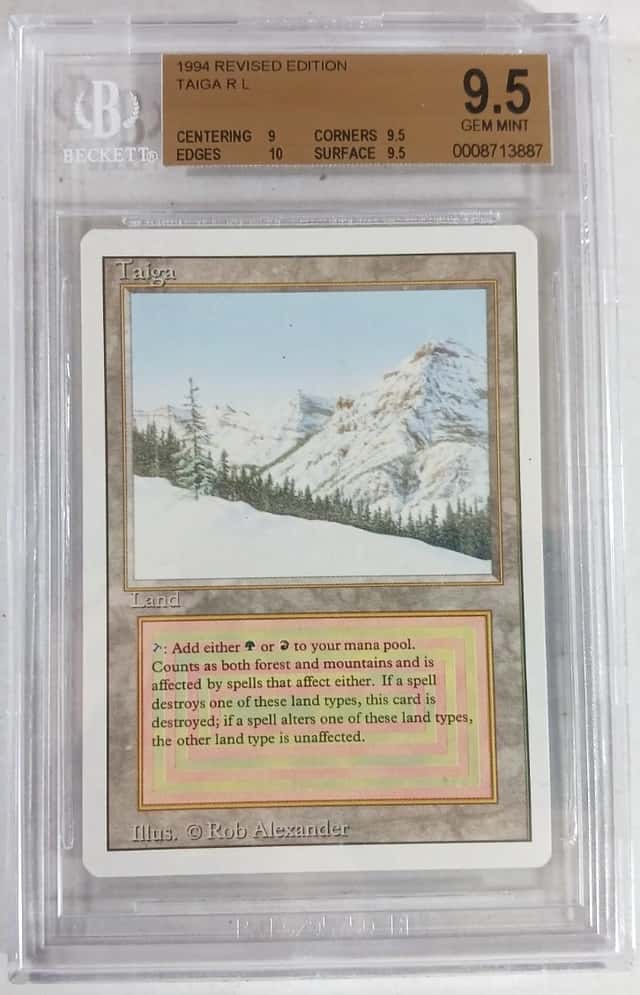 Taiga