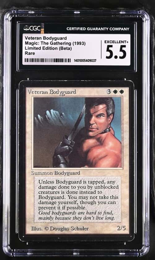 Veteran Bodyguard