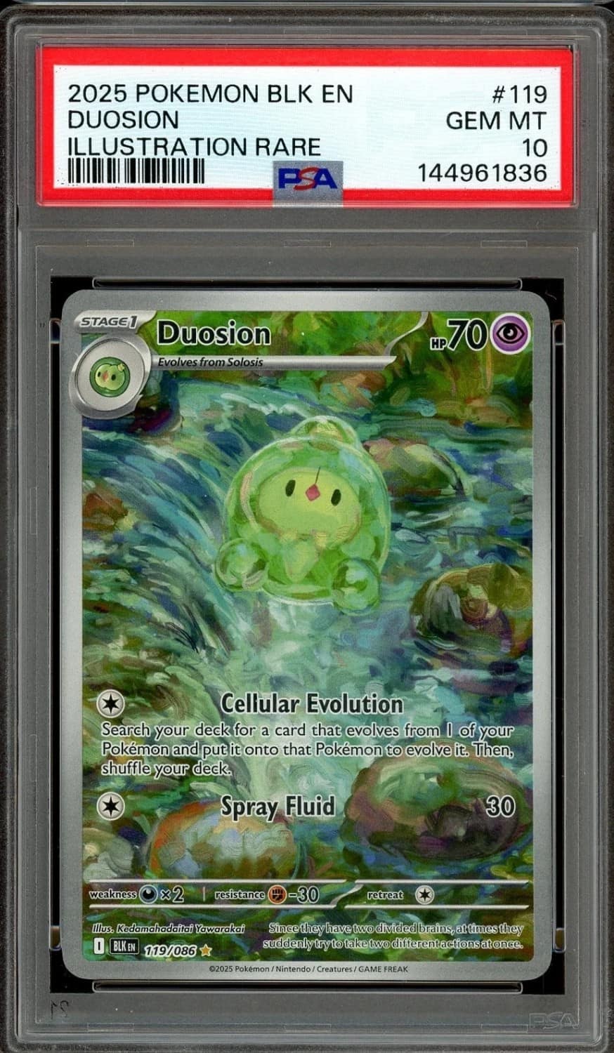 Duosion