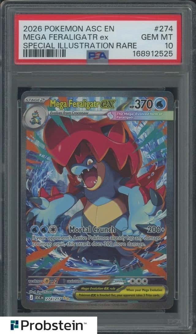 MEGA FERALIGATR ex