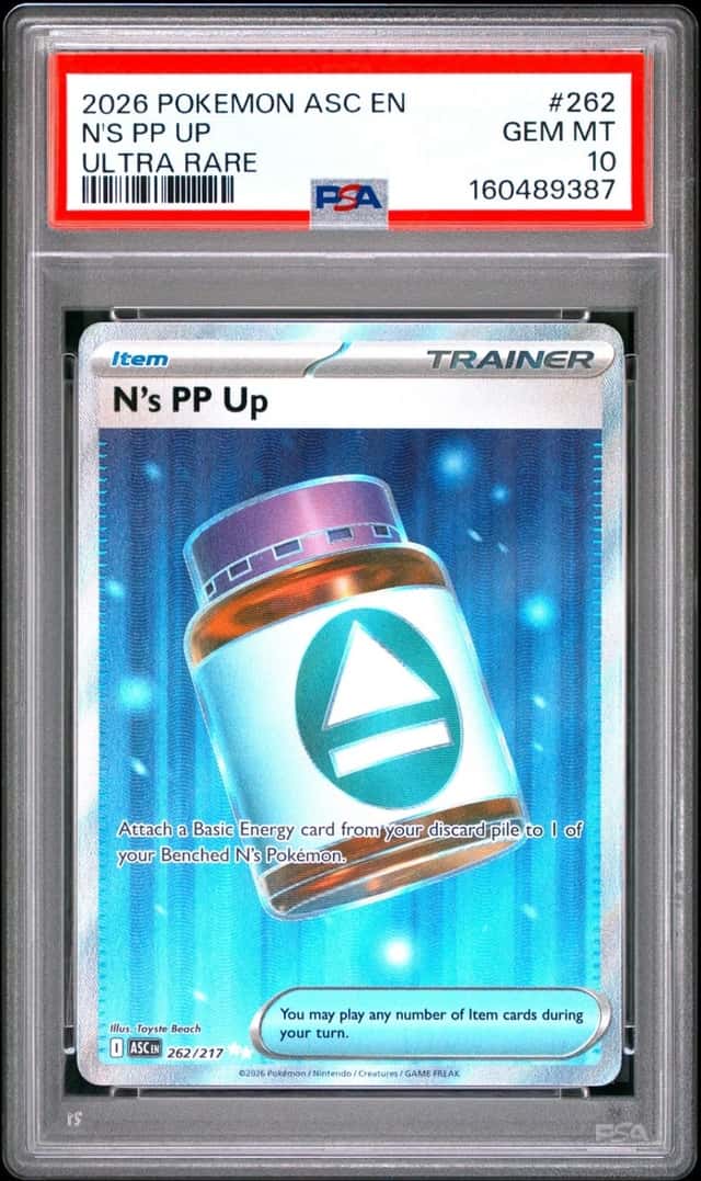 N's PP Up