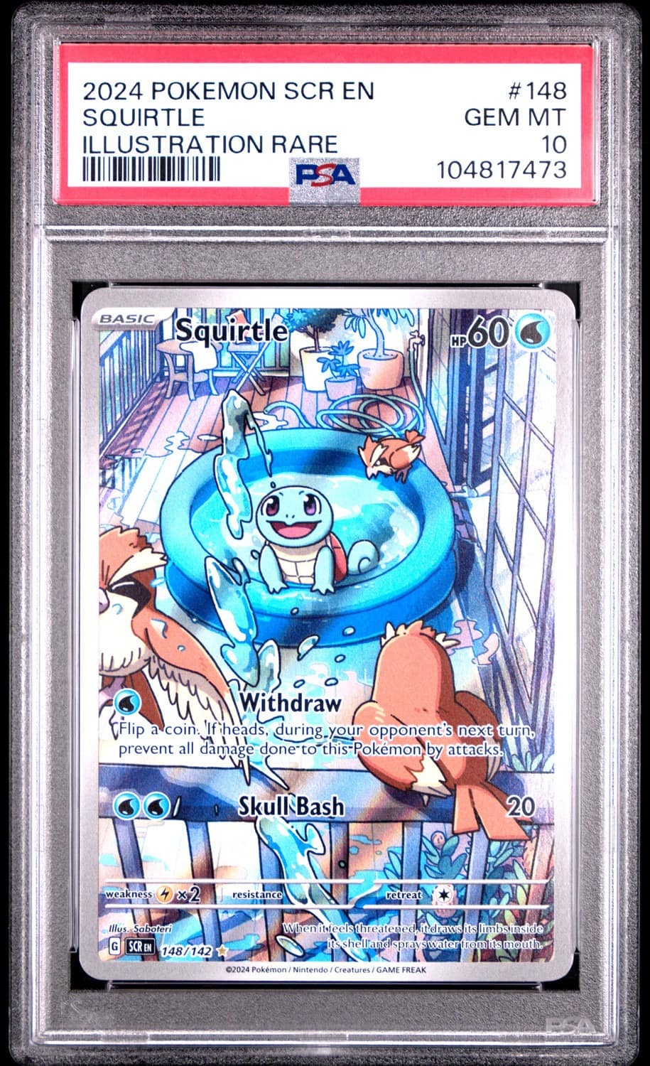 Squirtle