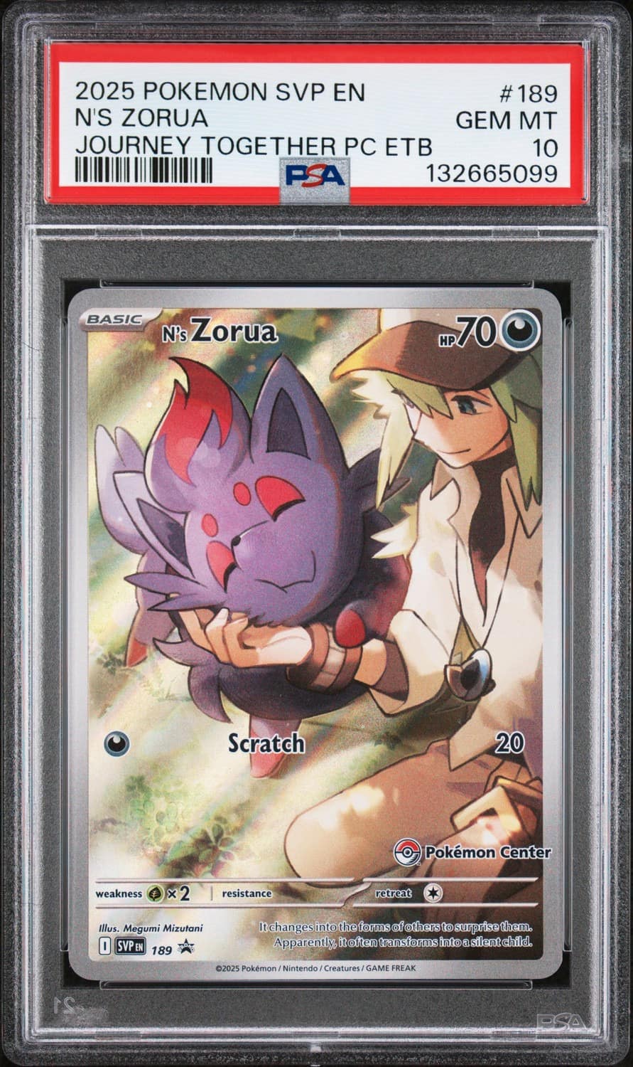 N'S Zorua