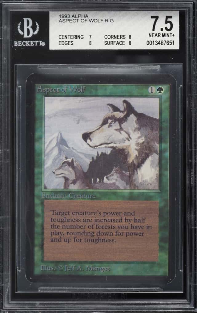 Aspect of Wolf