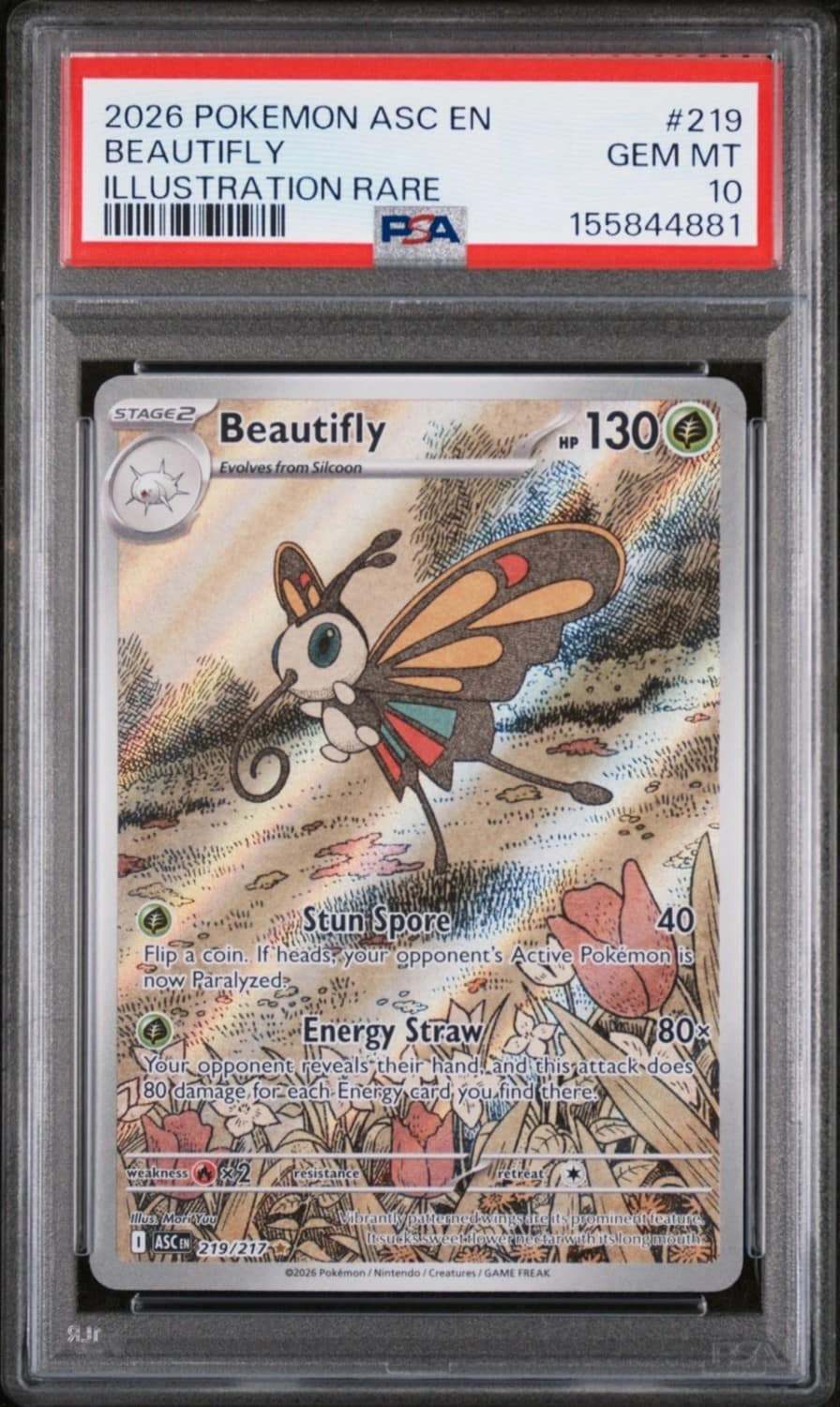 Beautifly