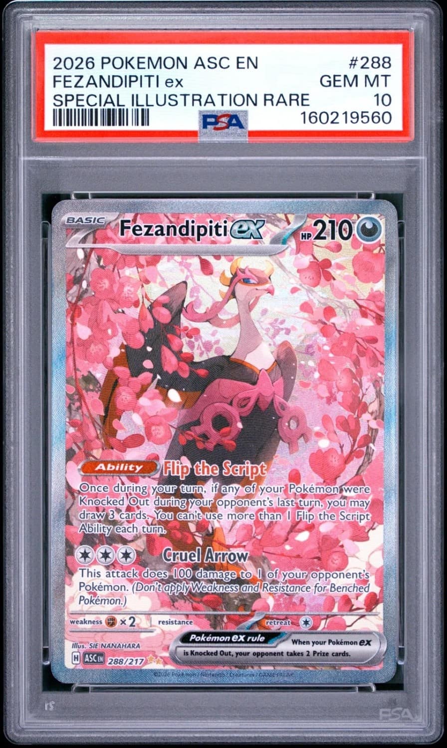 Fezandipiti Ex