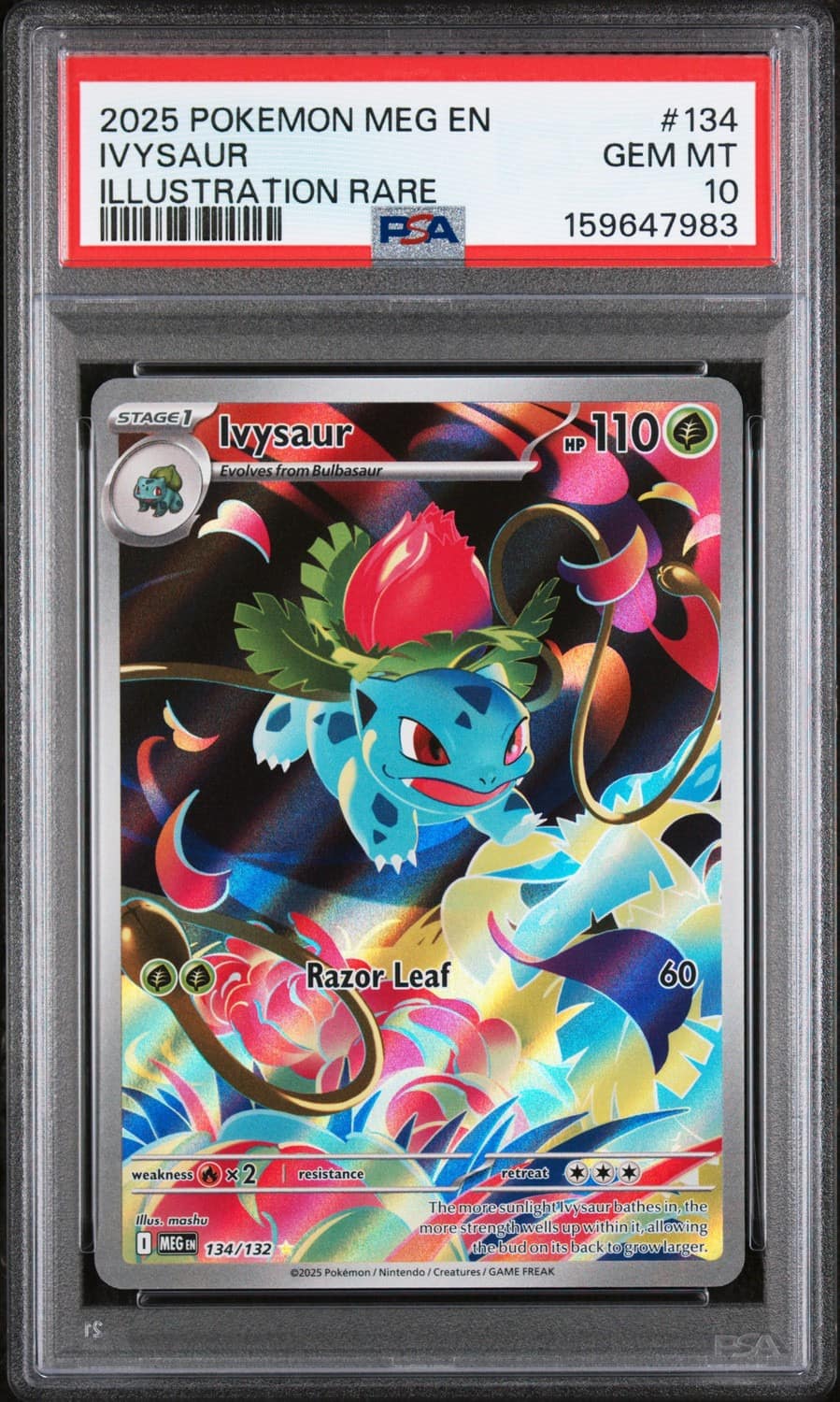 Ivysaur