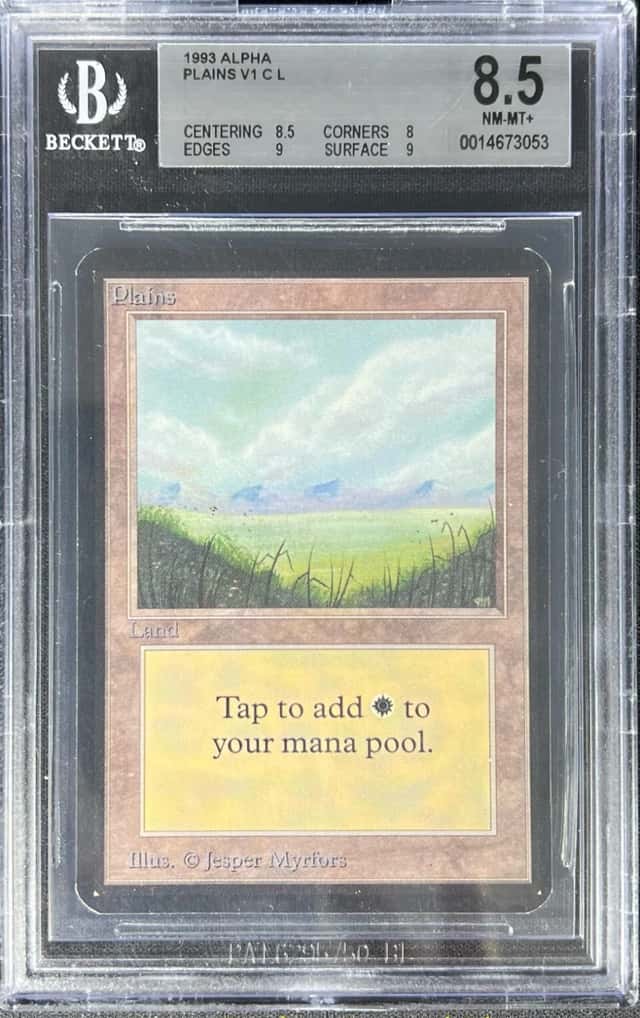 Plains