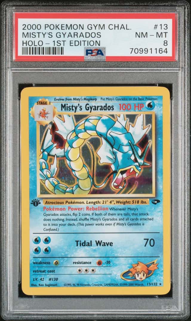 Misty's Gyarados