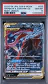 Greninja & Zoroark Gx
