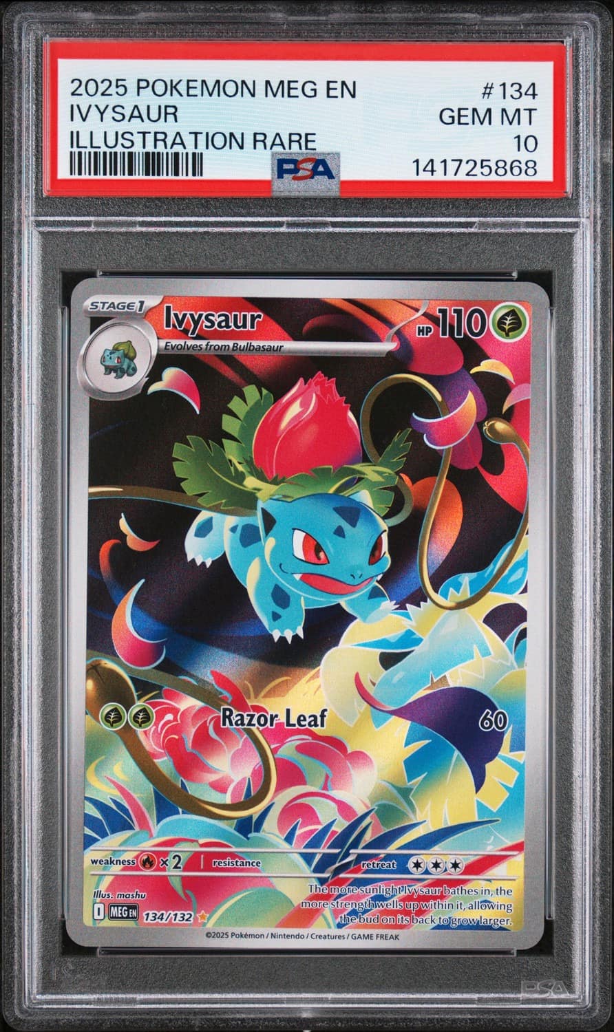 Ivysaur