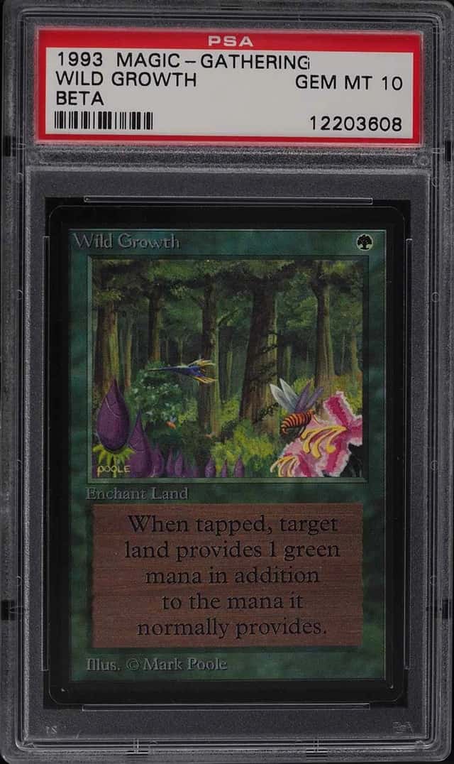 Wild Growth