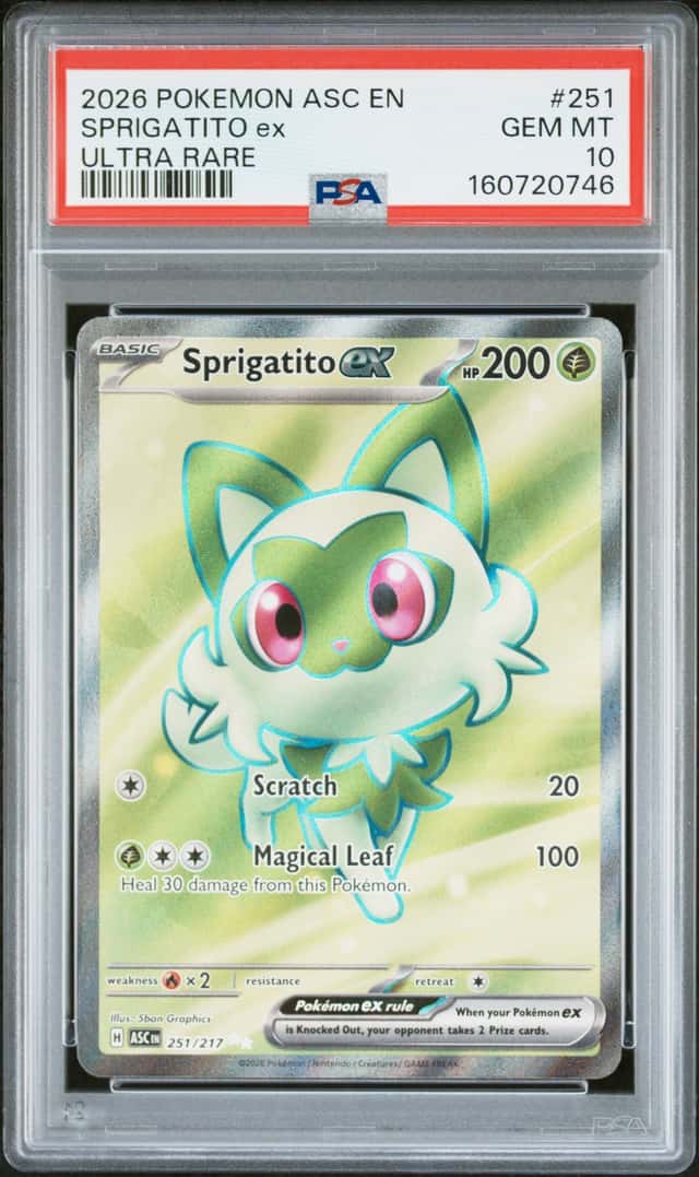 SPRIGATITO ex